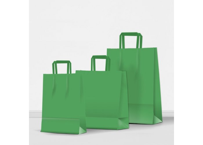 Bolsa de papel color Acuario con manija plana - Compra mínima 10 unidades - Verde