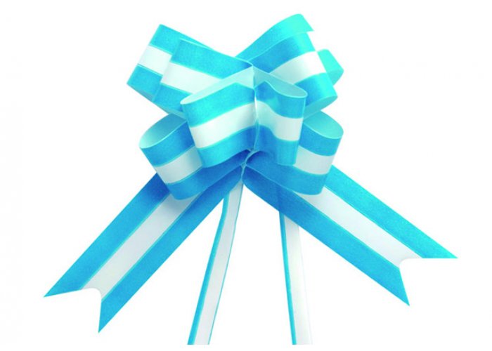 Moños Mágicos Bandera Nº25